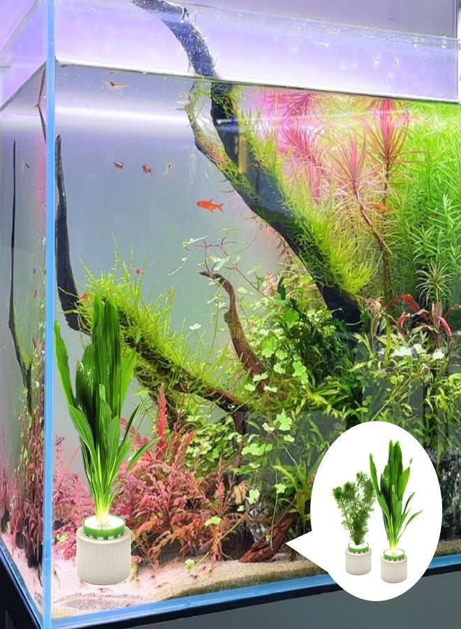 HEHIPLE 16 Pack Aquarium Plant Weights, Aquatic Plants Fixed Ring Set, Anti-Floating Ceramic Aquarium Plant Rings, Aquarium Landscape Decoration Fish Tank Accessories 1.8 x 1.3 Inch - Image 5